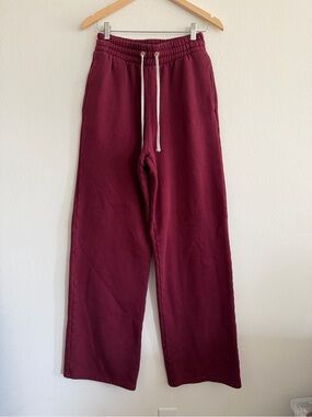 Les Tien Jill Puddle Pant in Burgundy, Size Small